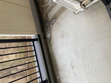 image8-2025-11-05T174624.525