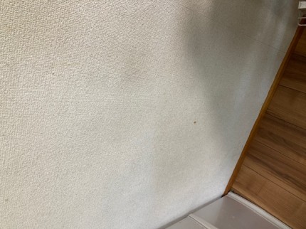 image8-2025-11-10T165524.736