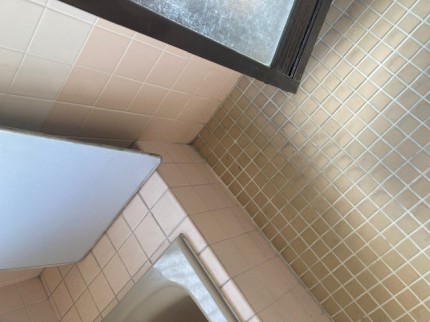 image8-2025-11-19T194629.383