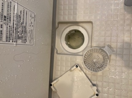 image8-2026-02-04T132859.522