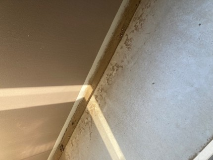 image8-2026-02-06T133625.463