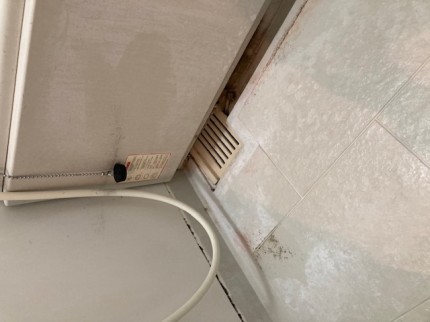 image8-2026-02-22T151723.527