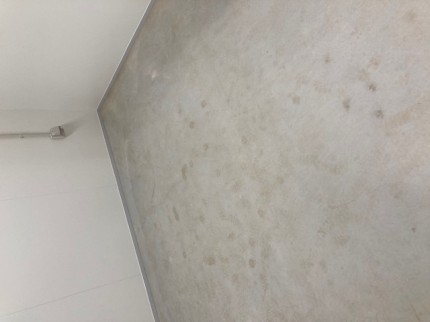 image8-2026-03-19T100332.218