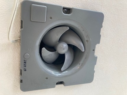 image9-2025-12-04T233138.406